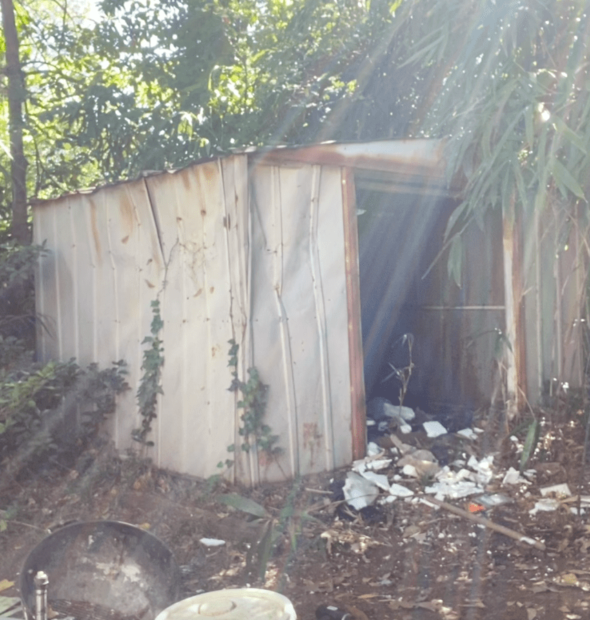Shed Removal-Boynton Beach Junk Removal and Trash Haulers